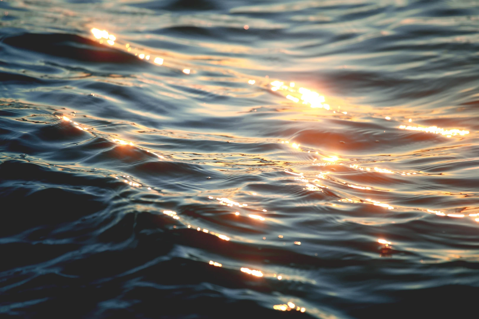 A Water Act for PEI – Submission by the NFU Region 1, District 1