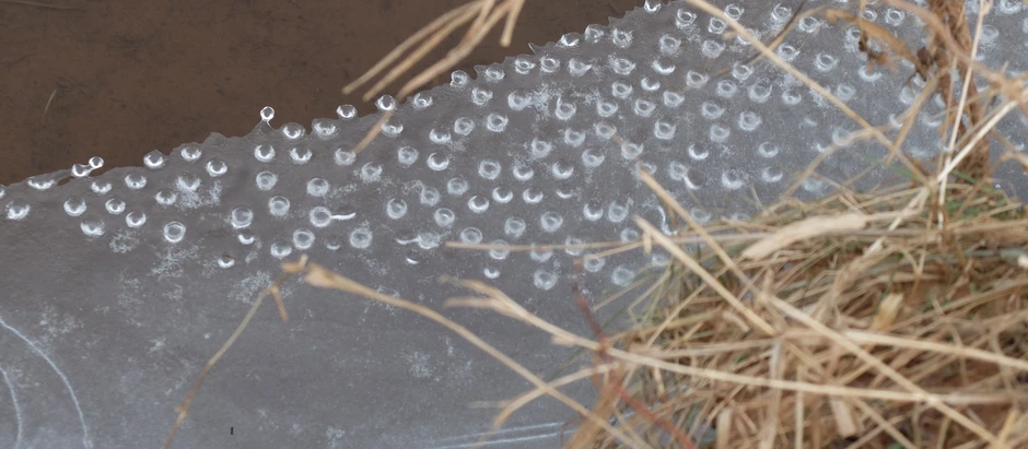 NFU to Present Comments on the Draft Water Act – April 10