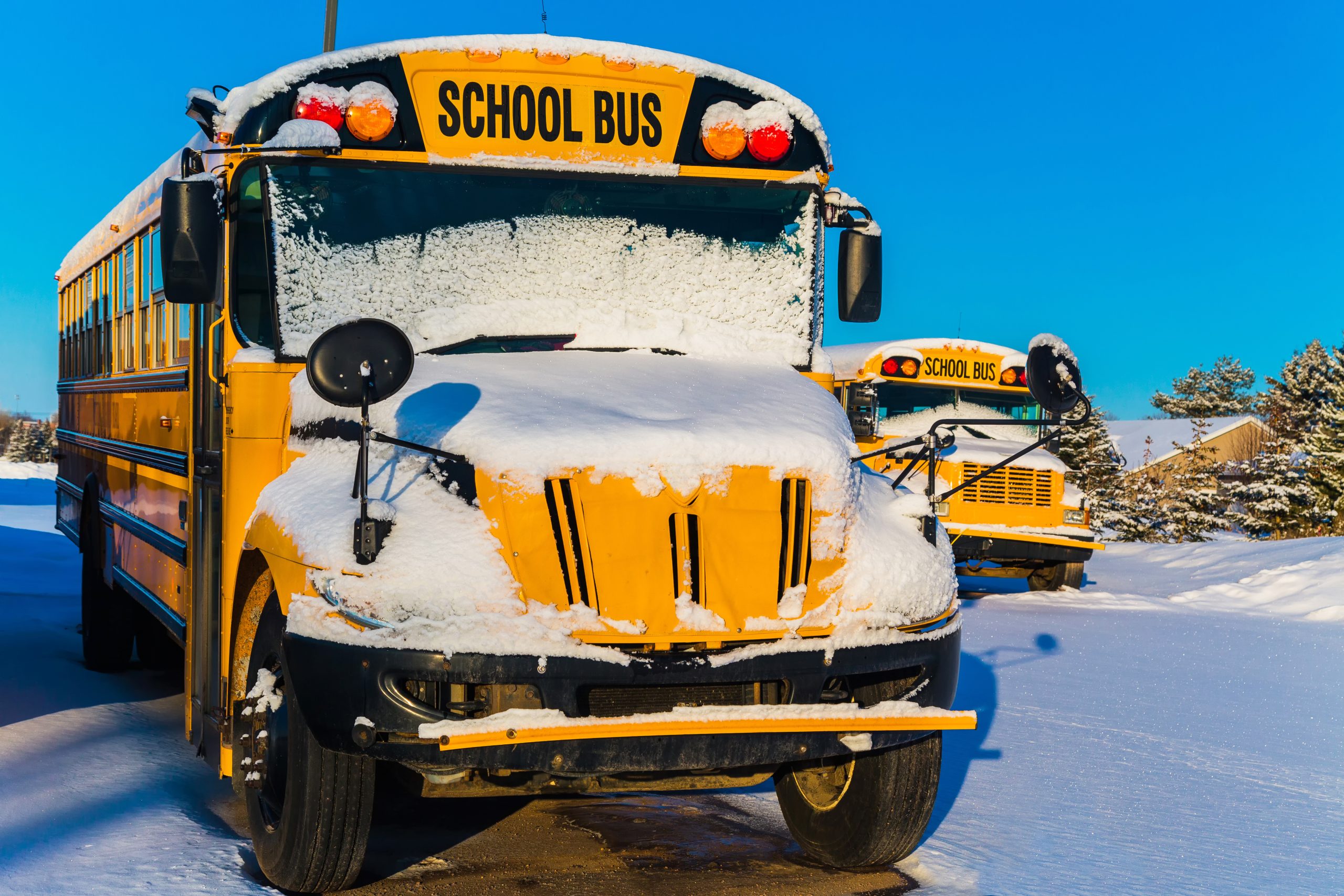 NFU Opposes School Closures